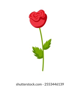 Red rose with red petals and green leaves. Perfect for romantic design, Valentines Day theme, wedding decor and floral arrangements. Isolated on white background.