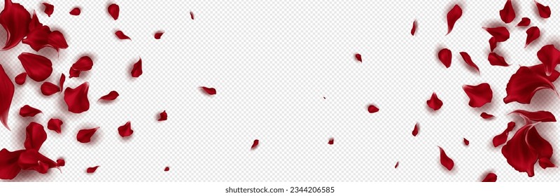 Red rose petals on a transparent background. Isolated special effect. Vector illustration in eps format.