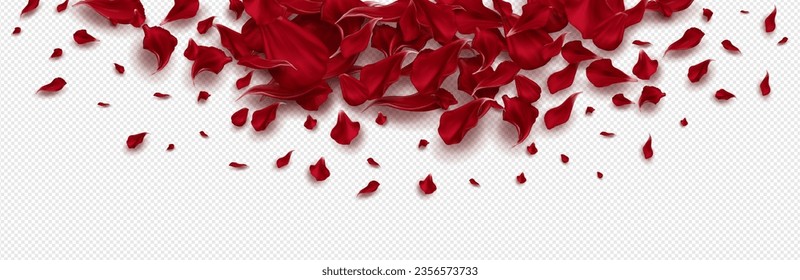 Red rose petals on a transparent background. Isolated special effect. Vector illustration in eps format.