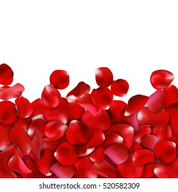 Red Rose Petals On White Background, Vector Illustration