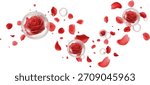 Red rose petals and red roses in clear bubbles Transparent background Ideal for romantic fragrance advertising Valentines Day promotions or beauty product packaging Emphasizes rich rose scent