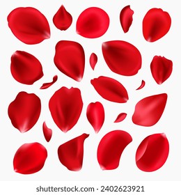 Red rose petals set. Red petals of rose flower isolated on white.