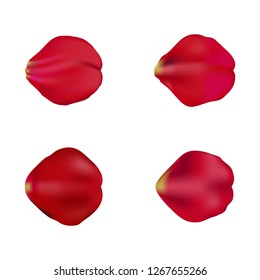 Red rose petals set, isolated on white, vector illustration