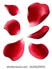 Red rose petals set, isolated on white, vector illustration