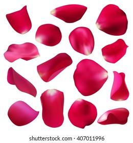 red rose petals set,  isolated on white, vector illustration