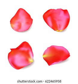 Red rose petals set isolated on white background. Realistic vector illustration