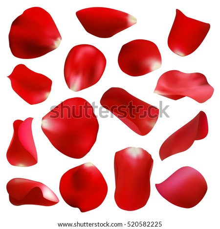 Red rose petals set, isolated on white, vector illustration