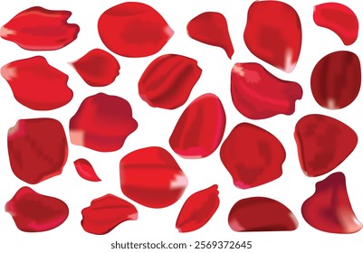 Red rose petals for Valentines, anniversary, father's day, mother's day design and also for banner, poster, postcard design. Vector illustration.