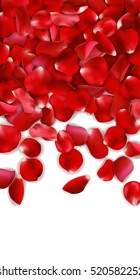 Red rose petals. valentine`s card background, vector illustration