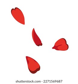 red rose petals vector illustration