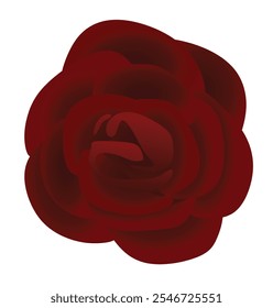 Red rose petals. vector illustration