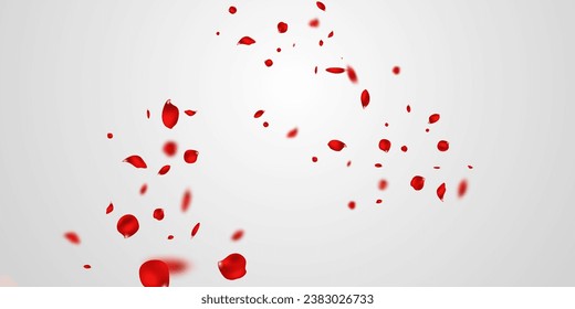 Red rose petals will fall on abstract floral background with gorgeous rose petal greeting card design.