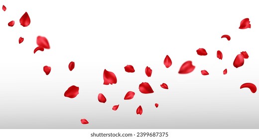 Red rose petals will fall on abstract floral background. Flowers plants elements leaves red petals collection. Rose petal greeting card design.