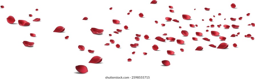 Red rose petals will fall on abstract floral background with gorgeous rose petal greeting card design