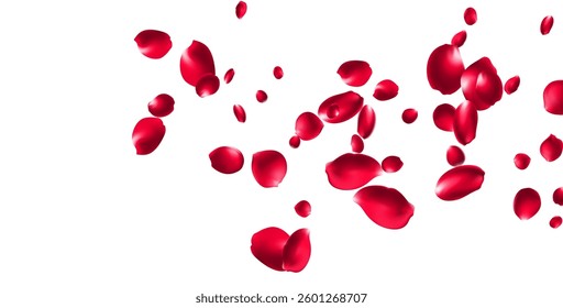 Red rose petals will fall on abstract floral background with gorgeous rose petal greeting card design Pastel pink blossom petals floral 