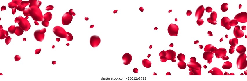 Red rose petals will fall on abstract floral background with gorgeous rose petal greeting card design Pastel pink blossom petals floral 