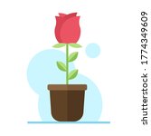 Red rose in pot flat illustration. Color vector icon. Red flower with green leaves in pot vector illustration. Floral business concept
