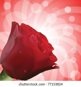 red rose with realistic petals and water droplets on red circular background