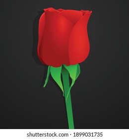 Red rose realistic vector isolated in black. Side view.