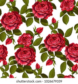 Red rose seamless pattern  for your design. Vector illustration.