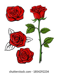 red rose set on white background with leaf