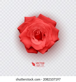 Red rose with shadow, realistic illustration on transparent background