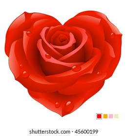 Red rose in the shape of heart