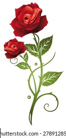 Red rose, a sign of love