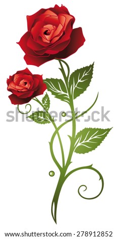 Red rose, a sign of love