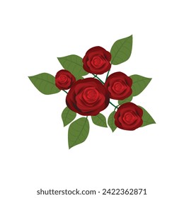 Red Rose sketch isolated on white background Vector illustration