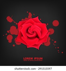 Red rose with splashes on black background. Bloody splashes with a rose. High quality vector. EPS10 vector