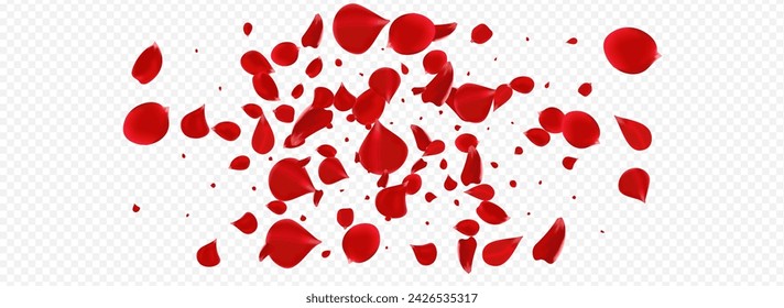 Red Rose Spring Vector Panoramic Transparent Background. Japanese Flower Texture. Delicate Lotus Beauty Frame. Beautiful Petal Japan Illustration.