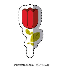red rose with square petals icon, vector illustraction design