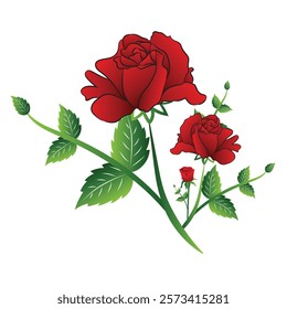 Red rose with it's stalk and leaves on a white background