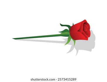 Red rose with it's stalk and leaves on a white background