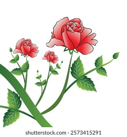 Red rose with it's stalk and leaves on a white background