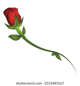 red rose with a stem