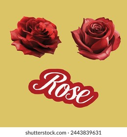 red rose stem vector illustration.