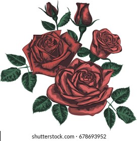 Red Rose -   stylized roses for card design - Vector Art 