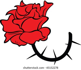 red rose with thorns