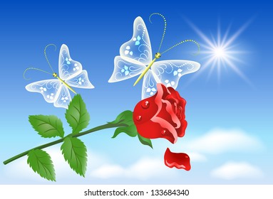 Red rose and transparent butterflies in the sky