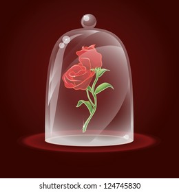 Red rose under glass