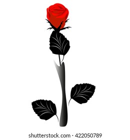 Red rose in a vase, design.