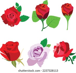 Red rose vector art design. This is an editable vector file. 
You can edit and change the color with this eps file. 
