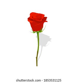 Red rose vector art and graphics