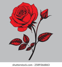 red rose vector art illustration