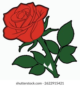 red rose vector art and illustration