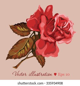 Red Rose. Vector art. Love concept for wedding invitations, cards, tickets, congratulations, branding, boutique logo, label. 