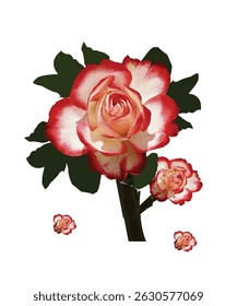 red rose vector graphic illustration