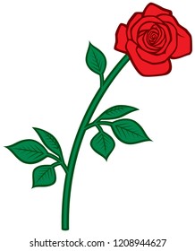 red rose vector illustration